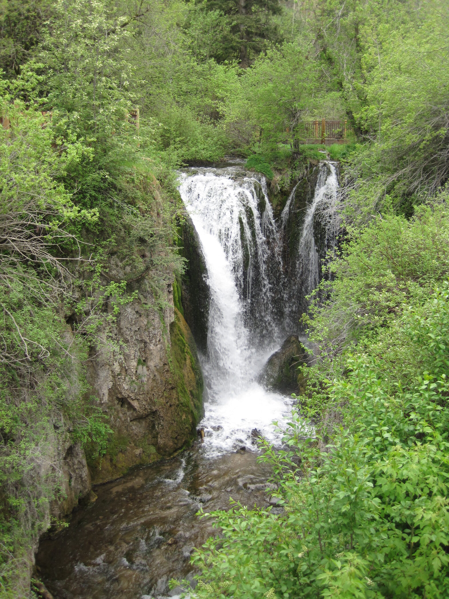 Discover Serenity at Roughlock Falls State Nature Area: A Natural ...