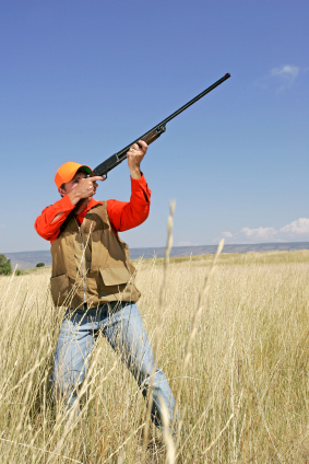 Pheasant Hunting - SD