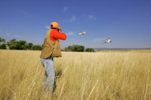 Pheasant Hunting - SD