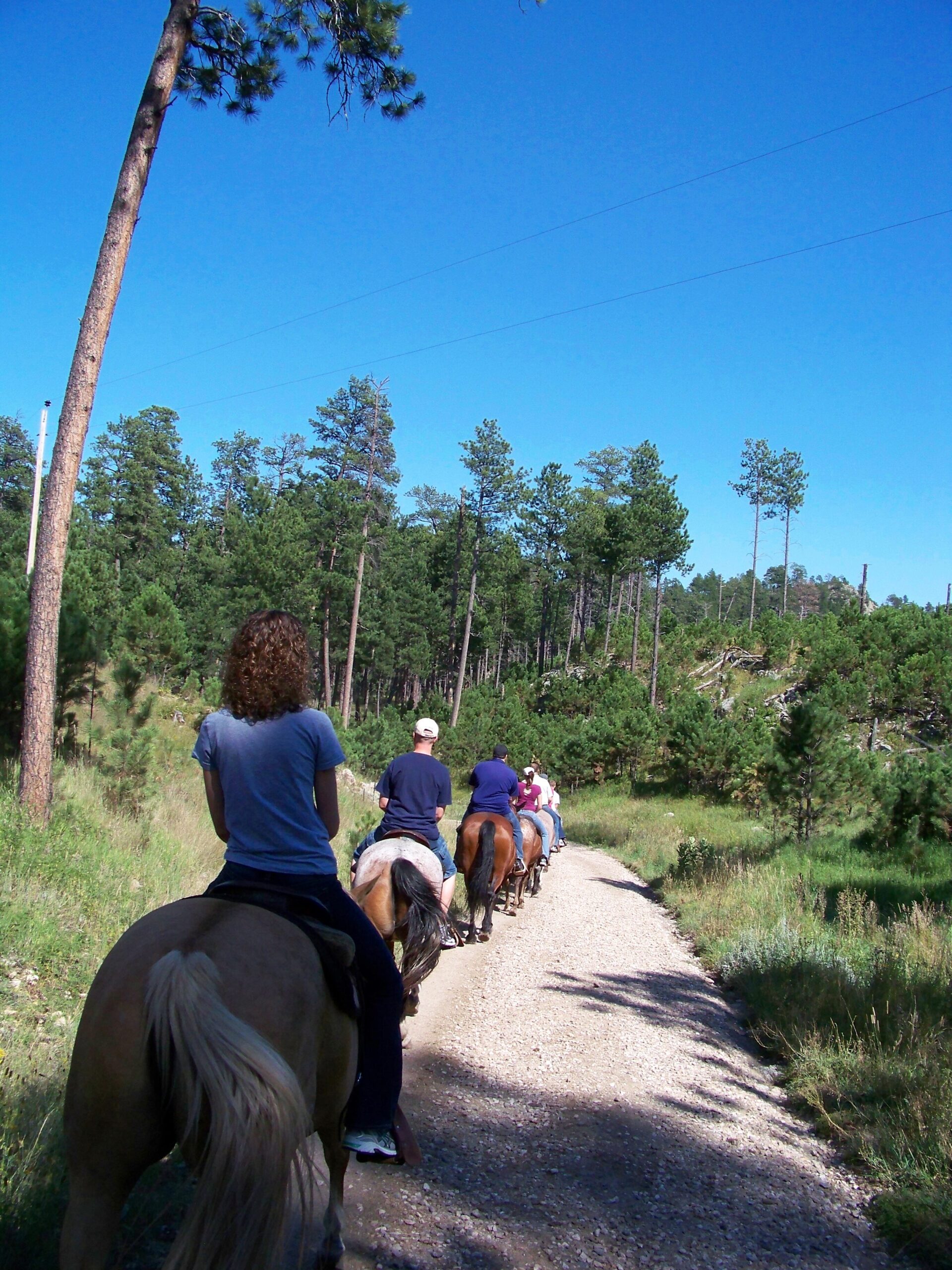 Trail ride in Custer State Park