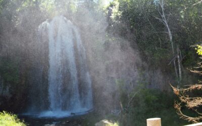 Of Beer and Waterfalls