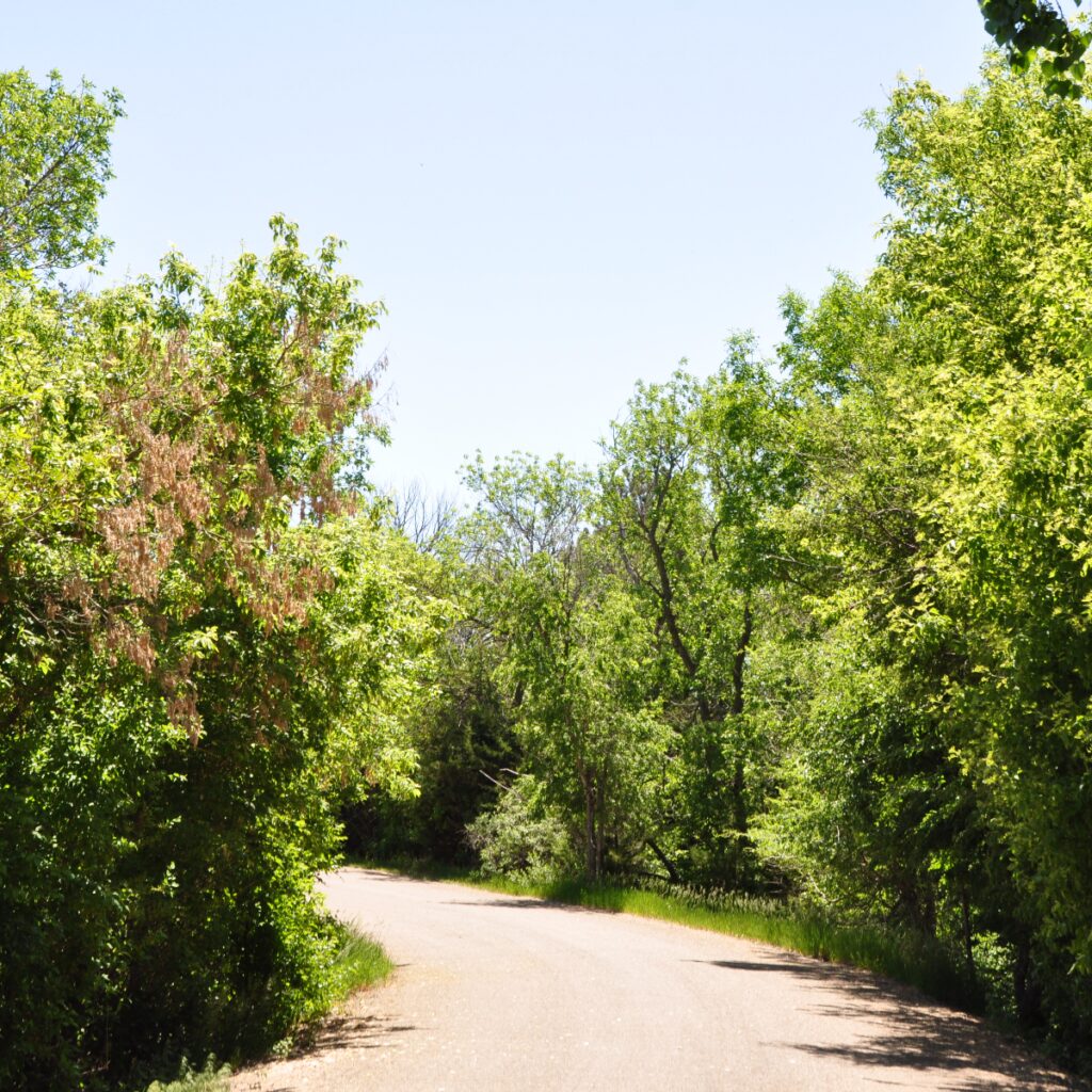 Hidden Gem: Lake Hiddenwood Recreation Area in South Dakota