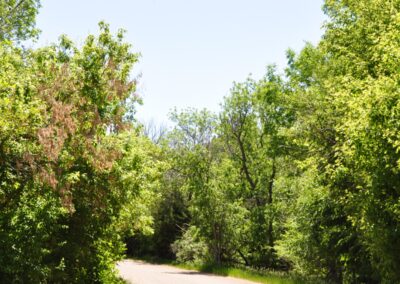 Lake Hiddenwood Recreation Area
