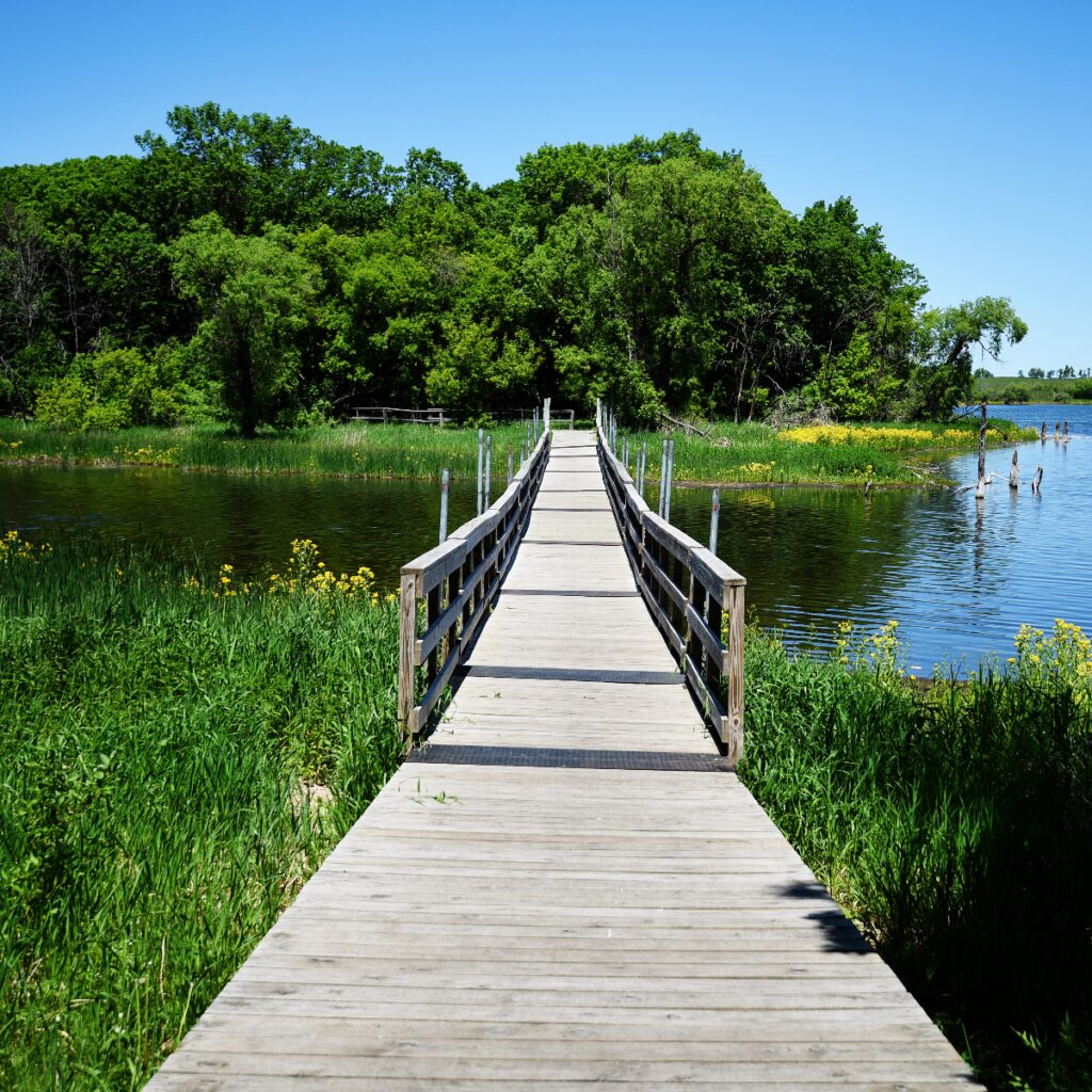 Roy Lake State Park: Where Serenity Meets Adventure In South Dakota