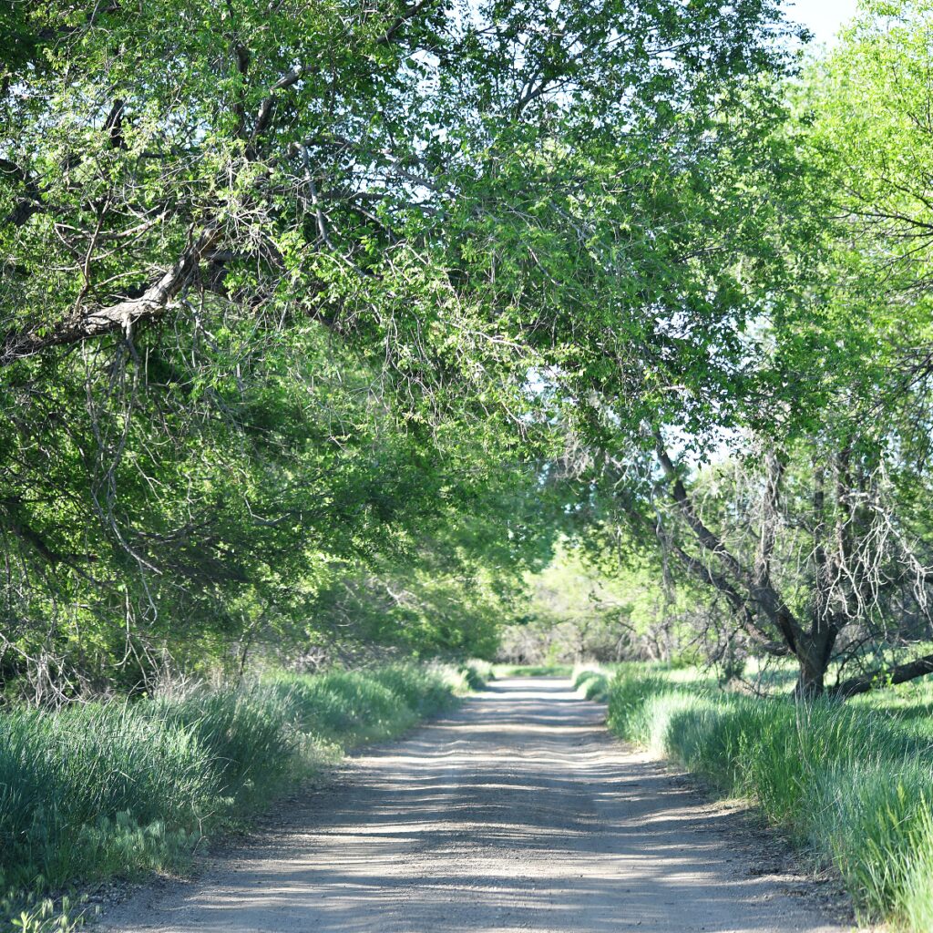 Escape To Cow Creek:  South Dakota’s Hidden Gem For Outdoor Adventures