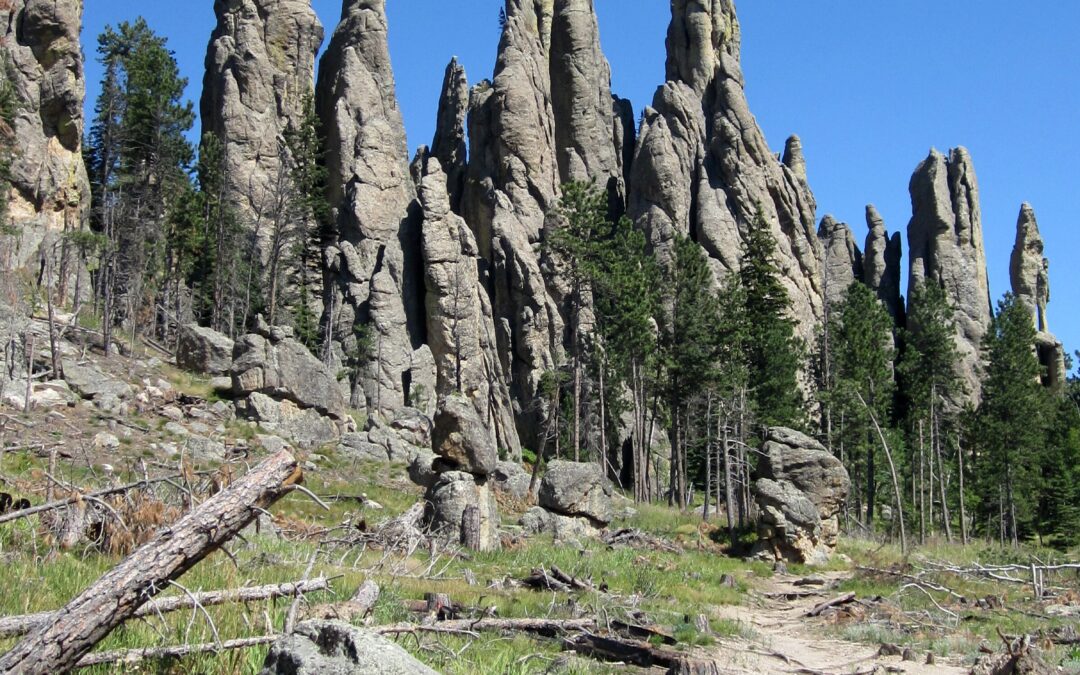 Hike Near Needles Highway Takes You to Another World