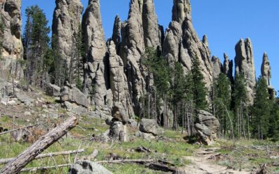 Hike Near Needles Highway Takes You to Another World