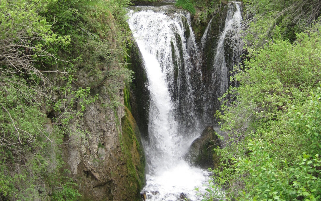 Roughlock Falls in Spearfish Canyon, SD