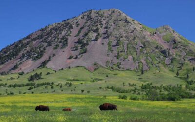 Unforgettable Adventures: Exploring the Black Hills of South Dakota