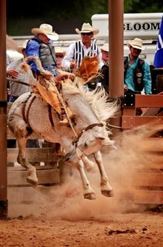 Deadwood's Days of 76 includes a rodeo. (South Dakota Tourism photo)