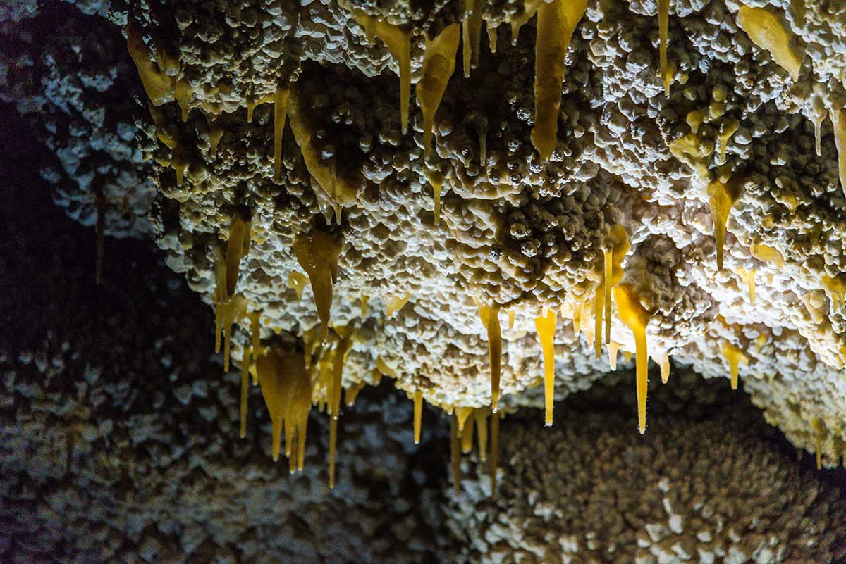 Wind Cave National Park