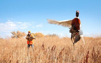Navigating the Game: Key Dates for Hunting Seasons in South Dakota