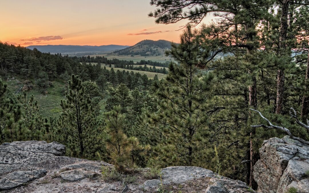 Unwrapping the Rich History of the Black Hills in South Dakota