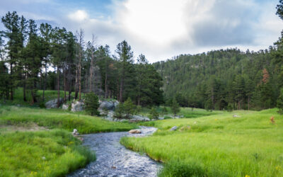 In Pursuit of the Game: Hunting Adventures in South Dakota