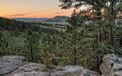 Exploring the Great Faces: A Guide to South Dakota Tourism