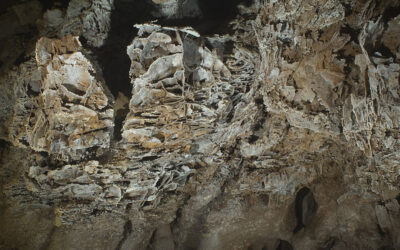 Nature’s Hidden Sanctuary: Exploring Wind Cave National Park