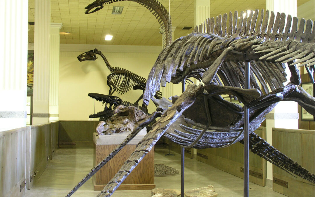 Family-Friendly Museums and Educational Centers in South Dakota