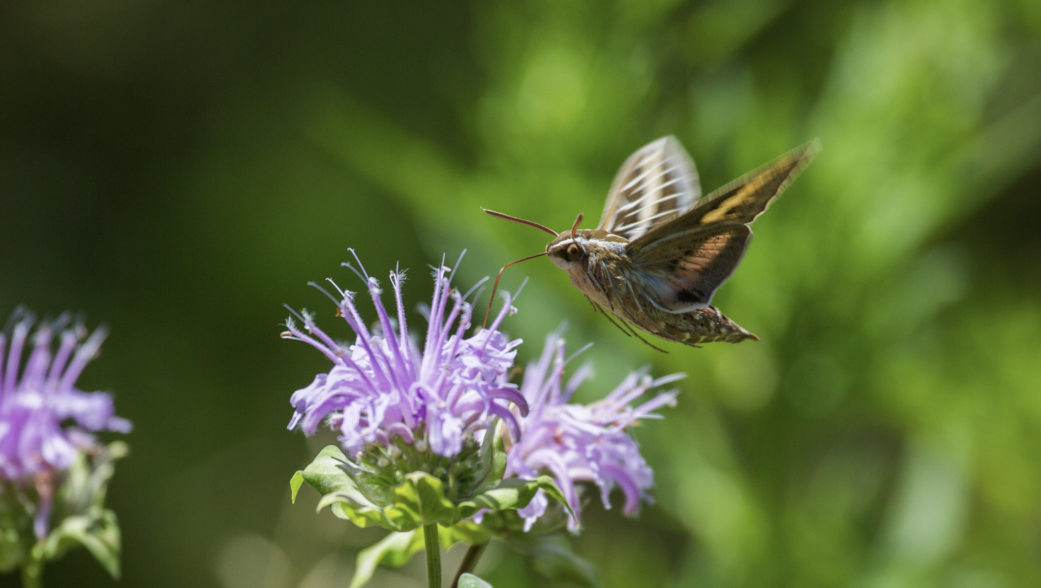 Autumn Adventure Awaits At Newton Hills State Park - Southdakota.com