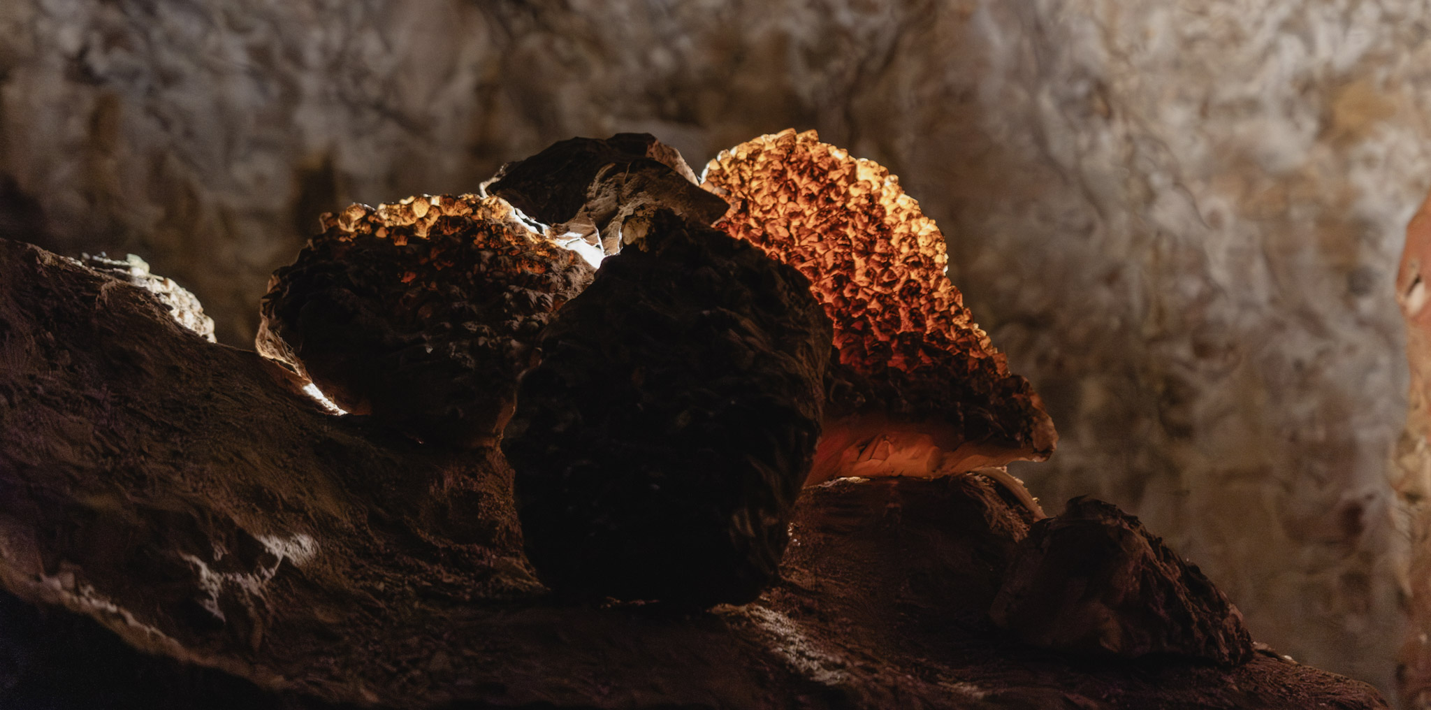 The History of Jewel Cave in the Black Hills of South Dakota ...